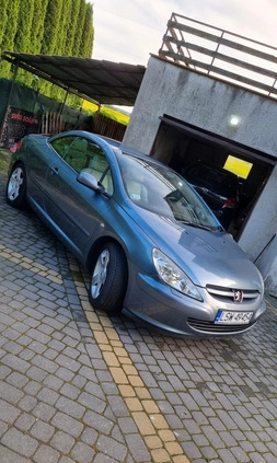 Peugeot 307 CC cena 9800 przebieg: 316000, rok produkcji 2004 z Aleksandrów Łódzki małe 154
